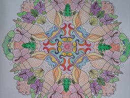 whatsapp bild 2025-06-27 um 11.54.56_69ab7120